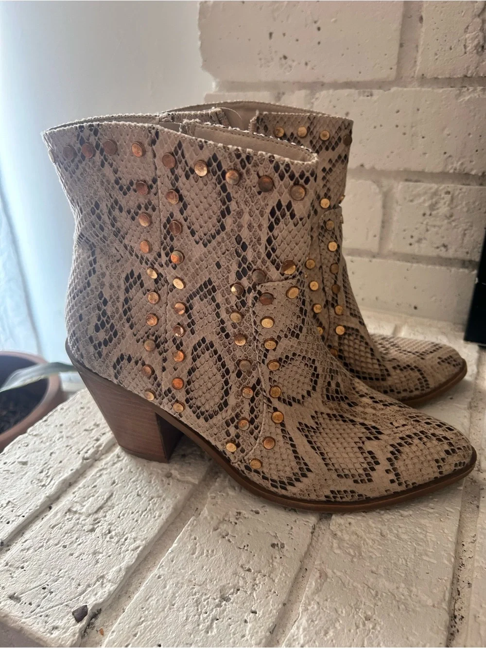 Gold-Stud Snake Print Ankle Boots in Beige